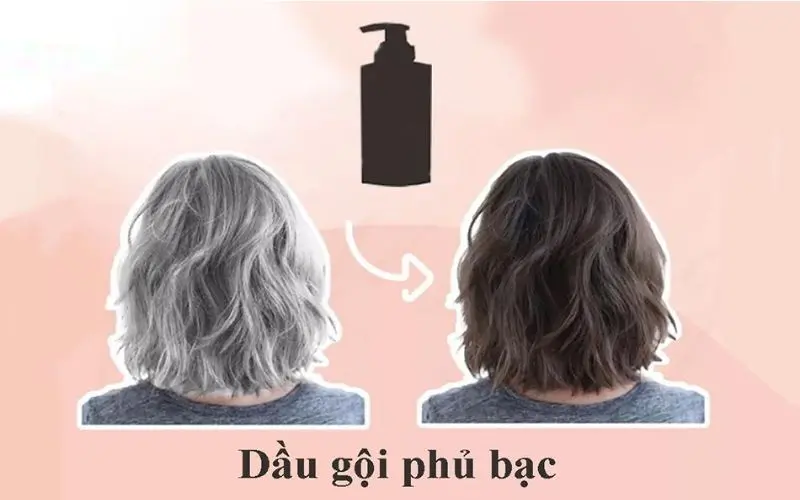 Dầu gội phủ bạc có hiệu quả bao lâu