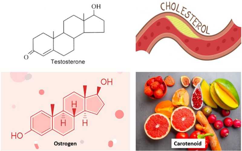 Chế độ ăn để duy trì lượng lipid cho cơ thể