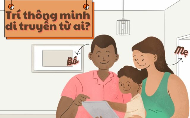 Trí thông minh có phải do di truyền quyết định không?